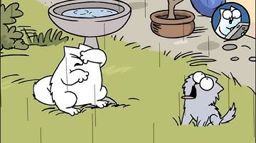 Total Kitten Chaos | Kitten Colour Episodes | Simon