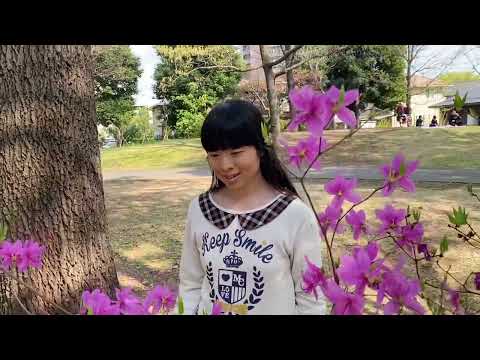 松田聖子さんの「赤いスイートピー」を歌ってみた。（ミュージック・ビデオ風）#松田聖子 #赤いスイートピー #歌ってみた #春うた