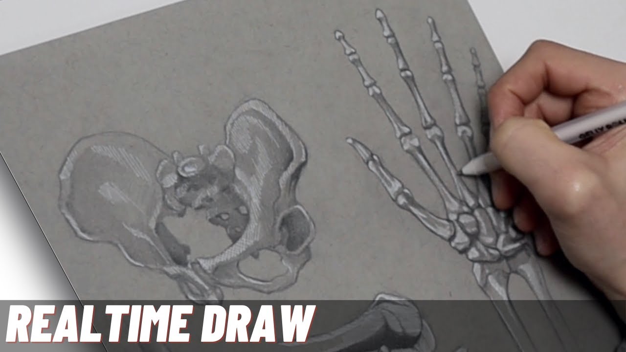 Drawing session in realtime - Study with me