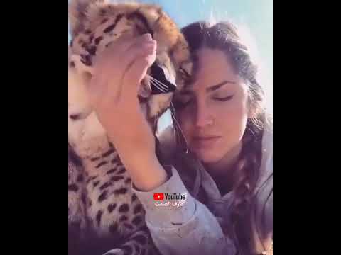 من عاشر الذيب يتحمل مخاليبه حالات واتساب استوري فيسبوك