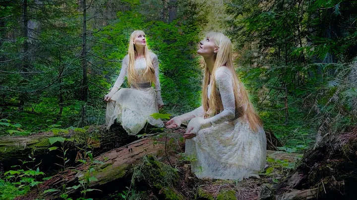 The Seer's Gift - Nordic Lullaby (Harp Twins origi...