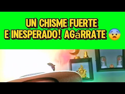 Un Chisme Que Te Va A Dejar Con La Boca Abierta 😨 - YouTube
