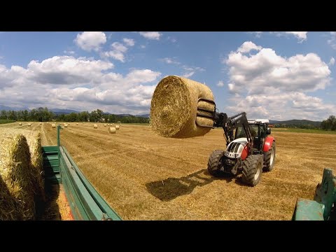 Summer Farming