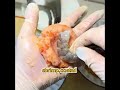 Would you make food like this for your dog?
