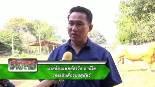 รายการคนไทยหัวใจเกษตร วันที่ 09 กุมภาพันธ์ 2559 B3