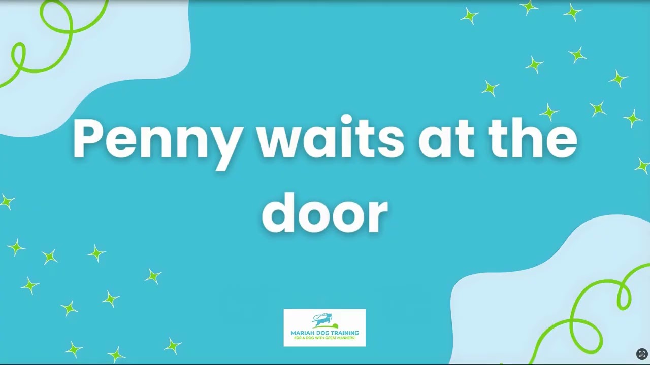 Puppy School Training: Loose Leash Walking, Door Manners, Recalls & Polite Greetings | Penny