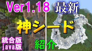 マイクラ1 18 統合版 Java版 最新 シード値シャッフル後の神シード2選を紹介 繁茂した洞窟や鍾乳洞 雪山など新要素がたくさん マインクラフトサバイバル マップ Ver 1 18 Seeds マイクラ動画まとめ