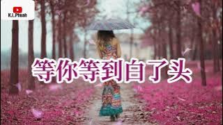 2022/09 蔷薇团长 💓[ 等你等到白了头 ]💓