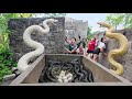 Brave soldiers used high-tech snake detectors to locate the giant python's nest.