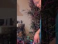 B-Day jam: Torso T-1 + MPC + Prime Go+