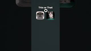 #memes #phonkagressive #funny #cat #cute #lofibeats #furry #undeground #song #music