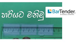 Label Measuring & Page Setup for Bartender Sinhala හරියට මනිමු බාර්ටෙන්ඩර්