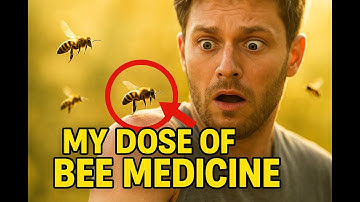 The BEST Bee Medicine I