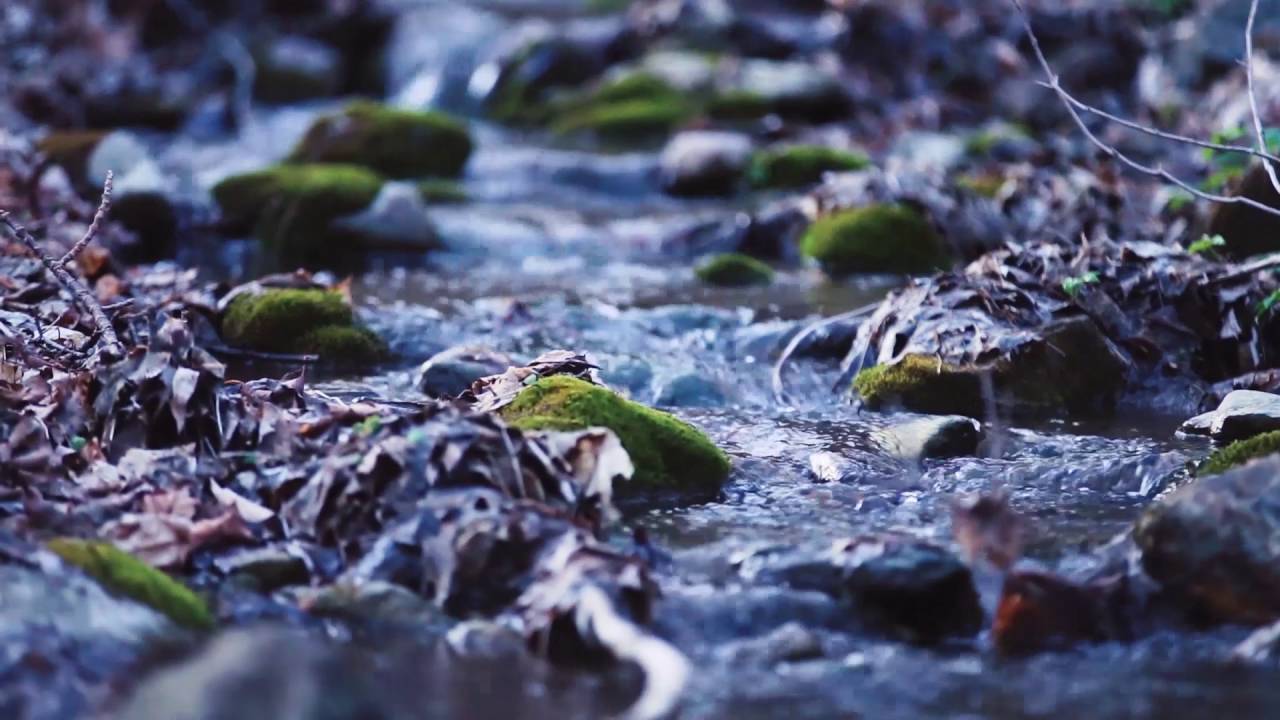Meditação Lovekindness - (1 minuto de duração) hipnoterapia en mendoza