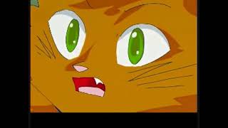 Sss Warrior Cats Intro- My Version