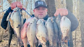 HOW TO CATCH WHITE BASS When The Bite Is TOUGH!! TEXAS White Bass Run 2024!!