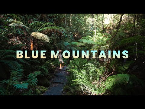 BLUE MOUNTAINS - Cinematic 4K Video | Ben & Mae