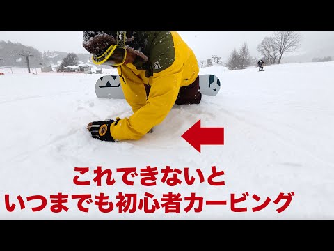 エコライダー　カービング　スノーボード　説明書付き エコライダーカービングスノーボード説明書付き