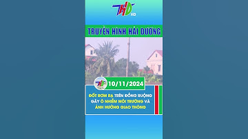 Đốt rơm rạ trên đồng ruộng gây ô nhiễm môi trường và ảnh hưởng giao thông  #shorts