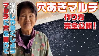 【プレミア公開】穴あきマルチの作り方　完全公開！