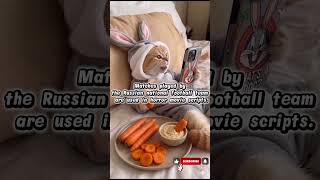 Russian national team.. #anecdote #anecdotes #funnyshorts