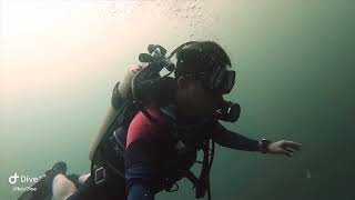 Musandam Oman Fun Diving Experience