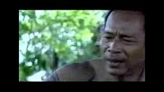 Banana Tree Ghost (3)