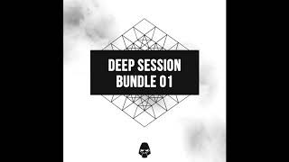 Deep Session Bundle 01 - Gorilla Samples 005 - Sample Pack Demo 2