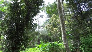 Beautiful India - Kerala ; really God's own country screenshot 5