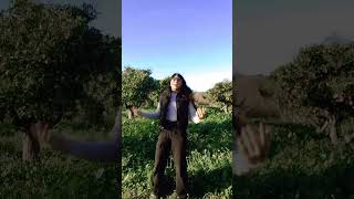 5 De Janeiro De 2024