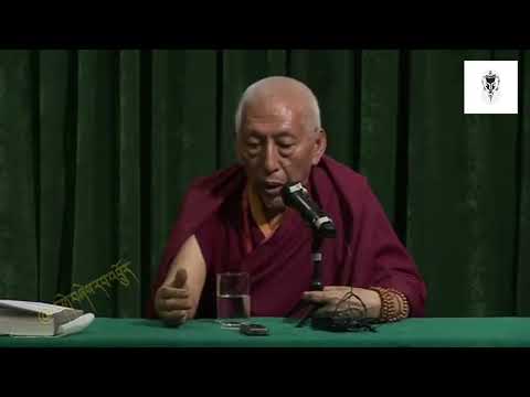 གོང་ས་མཆོག་གི་ཐུགས་དགོངས་ང་ཚོས་སྒྲུབ་སྟངས་་སྐྱབས་རྗེ་སློབ་དཔོན་ཟམ་གདོང་རིན་པོ་ཆེའི་བཀའ་སློབ།