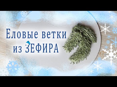 Еловые ветки из ЗЕФИРАFir branches from ZEPHIR   