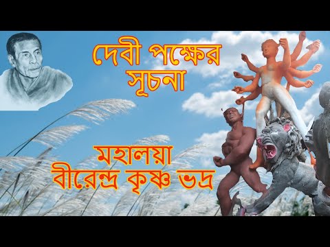 ভিডিও: কীভাবে আপনার নিজের হাত দিয়ে Rugেউতোলা বোর্ড থেকে একটি গেট তৈরি করবেন - ফটো, ভিডিও এবং অঙ্কন দিয়ে কাঠামো তৈরি করার জন্য ধাপে ধাপে নির্দেশাবলী