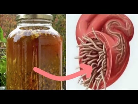 cure-all-infections-and-kill-all-parasites-with-this-diy-antibiotic