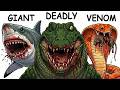 Every Deadly Animal Explained in 18 Minutes