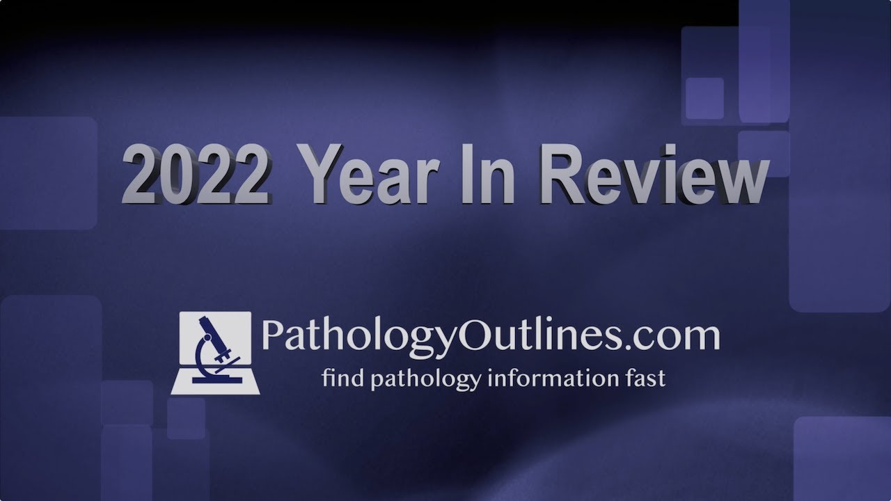 2022; The Year In Review - YouTube