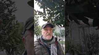 Herkes Her Şeyin Farkında 🎙️ Şiir 😊 Cemal Süreya &Can Yücel