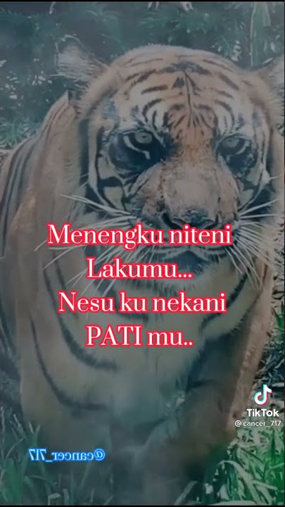 kuwe iso ngajeni aku aku iso luweh ngajeni awak mu
