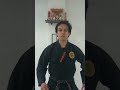 Ninjutsu CDMX #bujinkan #ninjutsu #bujinkanmexico