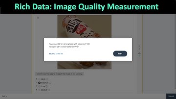 100% | Rich Data: Image Quality Measurement | Toloka | Bing Local Search