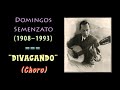 Domingos Semenzato - DIVAGANDO (Choro)