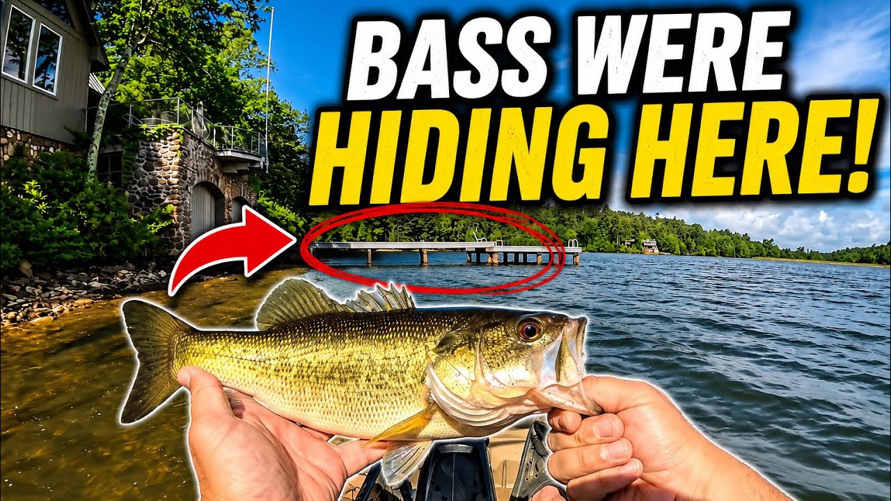 Kayak Bass Fishing Docks Paid Off BIG
