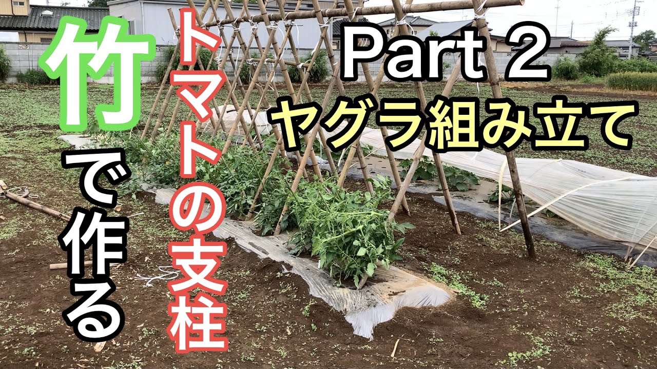 Part2 トマトの支柱を竹で作る 組み立て編 Youtube