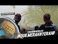 Umpan belum turun langsung di serang sama ikan besar  am188