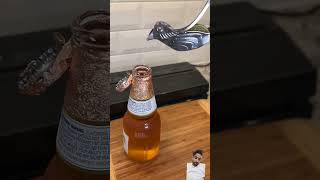 The Perfect Way To Squeeze A Lime