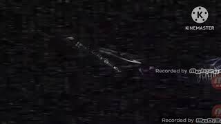 Barracuda Attack Original 3D Vocoded