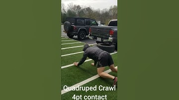 Quadruped Crawl