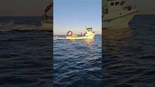 Nos encontramos un barco sardinero a faenar
