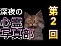 【第2回】2019 ネコ（ワイ）と見る深夜の心霊写真部【本当にあった】