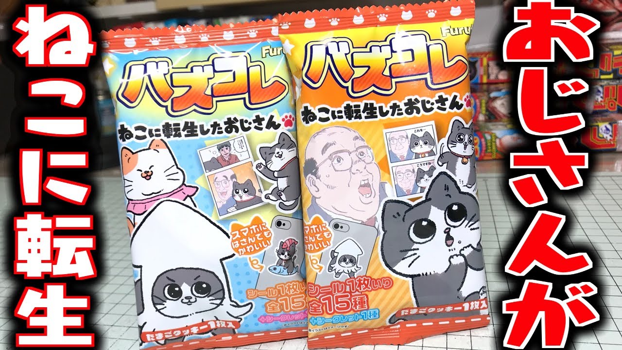 There's a secret! The old man who reincarnated as a cat is